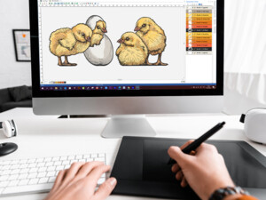 ДОПОЛНИТЕЛЬНЫЕ УСЛУГИ