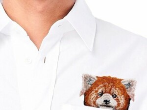 Карманные животные