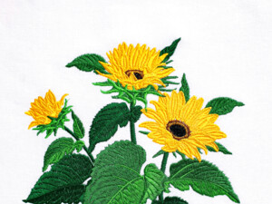 Подсолнухи