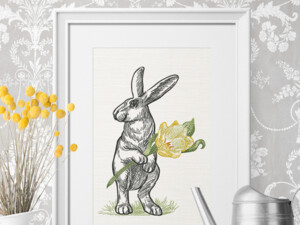 Зайцы, Кролики и Мыши