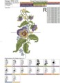 Букет Анютины глазки Дизайн машинной вышивки