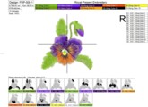 Дизайн для машинной вышивки Анютины глазки