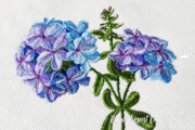 Дизайн для машинной вышивки Флоксы - 2 размера
