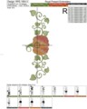 Дизайн машинной вышивки Бордюр Тыква с орнаментом - 5 размеров