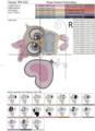 Дизайн машинной вышивки Девочка Сова с шариком - 3 размера