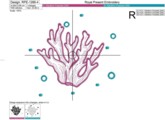 Дизайн машинной вышивки Кораллы - 5 размеров