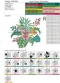 Дизайн машинной вышивки Тропический букет с орхидеями