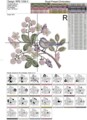 Дизайн машинной вышивки Трясогузка на веточке - 4 размера