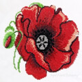 Дизайн вышивки крестом Цветок мака