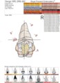 Два Осенних Гнома Дизайны машинной вышивки - 3 размера