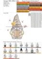 Два Осенних Гнома Дизайны машинной вышивки - 3 размера