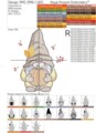 Два Осенних Гнома Дизайны машинной вышивки - 3 размера