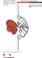 Два Сердца в руках Дизайн машинной вышивки - 7 размеров