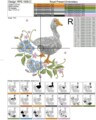 Гусь Дизайн машинной вышивки - 2 размера