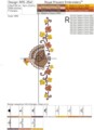 Индейка бордюр с надписью дизайн машинной вышивки - 4 размера
