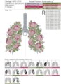 Легкие Розы Дизайн машинной вышивки - 5 размеров