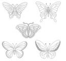 Набор дизайнов машинной вышивки Бабочки