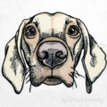 Портрет Собаки Дизайн для вышивальной машины - 5 размеров