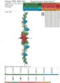 Рождественские Бордюры с Пуансеттиями дизайны машинной вышивки - 4 в 1