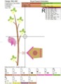 Скворечник на ветке Дизайн машинной вышивки бесплатно