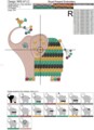 Слоник Дизайн машинной вышивки - 2размера