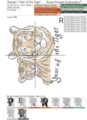 Тигрица и Тигренок Дизайн машинной вышивки - 8 размеров