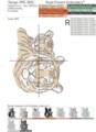 Тигрица и Тигренок Дизайн машинной вышивки - 8 размеров