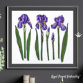 Цветы Ирисы дизайны машинной вышивки -  3 размера