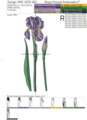 Цветы Ирисы дизайны машинной вышивки -  3 размера