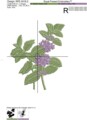 Веточка Мяты Дизайн машинной вышивки - 2 размера