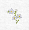 Веточка незабудок Дизайн машинной вышивки