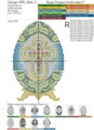 Яйцо Фаберже Дизайн машинной вышивки крестом - 2 размера