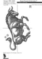 Знак Зодиака Телец Дизайн машинной вышивки - 6 размеров