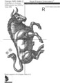 Знак Зодиака Телец Дизайн машинной вышивки - 6 размеров