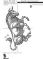 Знак Зодиака Телец Дизайн машинной вышивки - 6 размеров