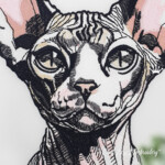 Кот Сфинкс Портрет большой - 4 размера