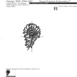 Набор Перья павлина - 3 размера