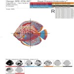 Тропические рыбы - 3 размера