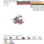 Утонченные орхидеи набор - 4 размера